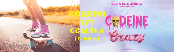 хмурый Арсеньев