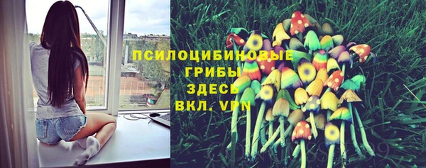 хмурый Арсеньев