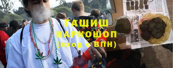 хмурый Арсеньев