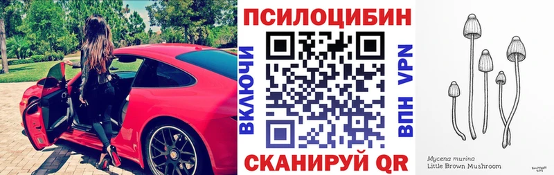 ОМГ ОМГ вход  Новая Ладога  Псилоцибиновые грибы GOLDEN TEACHER 