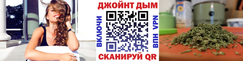 продажа наркотиков  Новая Ладога  Канабис план 